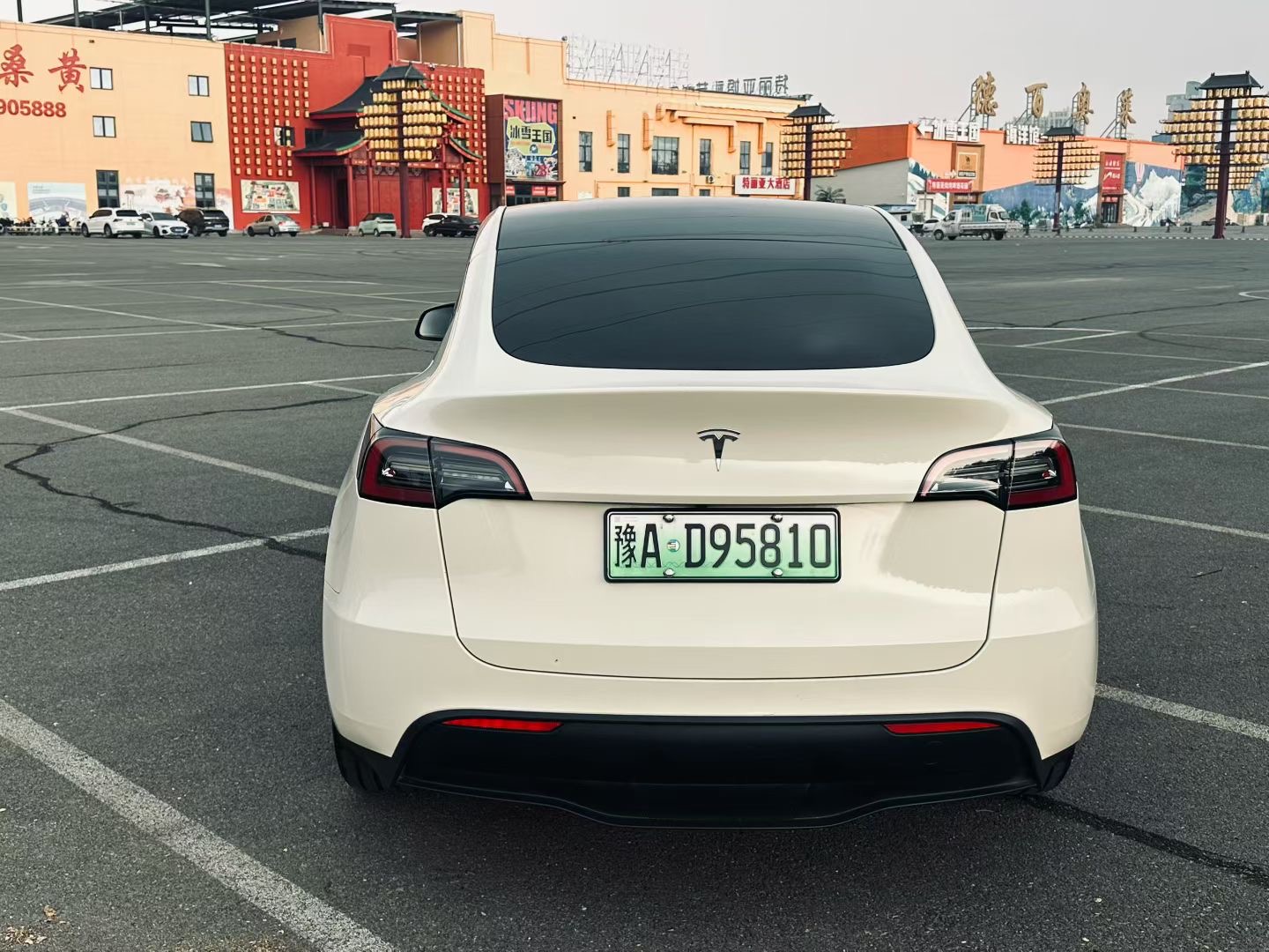 Tesla Model Y 2021 #5 Tesla Model Y 2021 car image #5