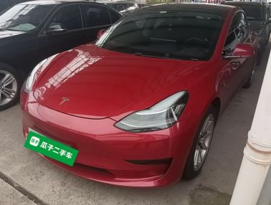 Tesla Model 3 2020 Tesla Model 3 2020 car image