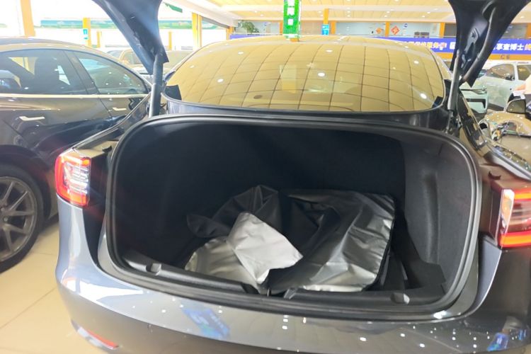 Tesla Model 3 2021 car image #19