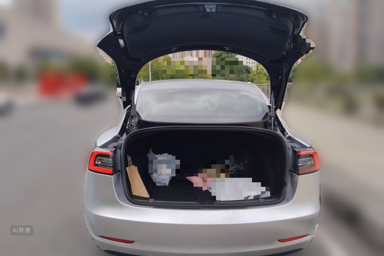 Tesla Model 3 2020 car image #21
