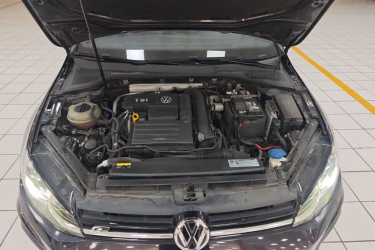 Volkswagen Golf 2020 car image #20