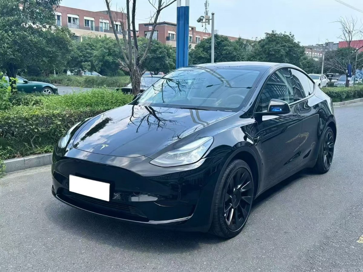 Tesla Model Y 2022 Tesla Model Y 2022 car image