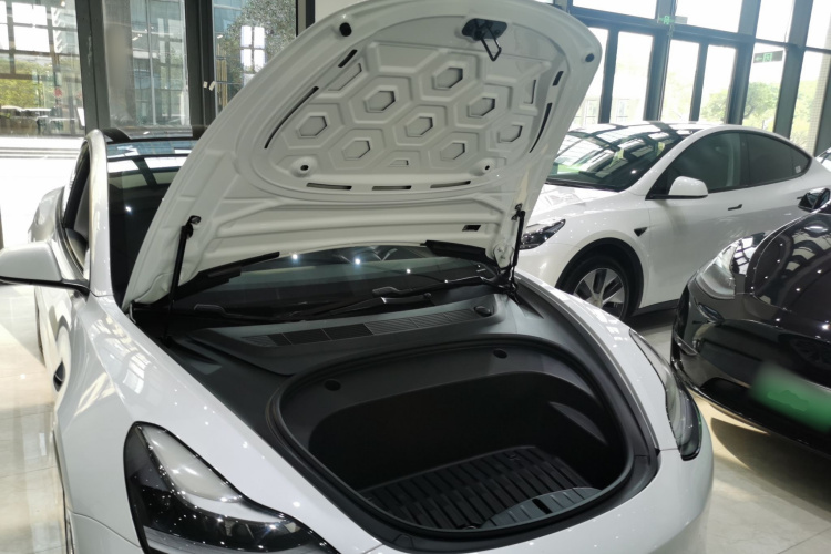 Tesla Model 3 2021 #20 Tesla Model 3 2021 car image #20
