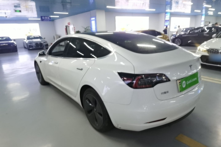 Tesla Model 3 2020 car image #5