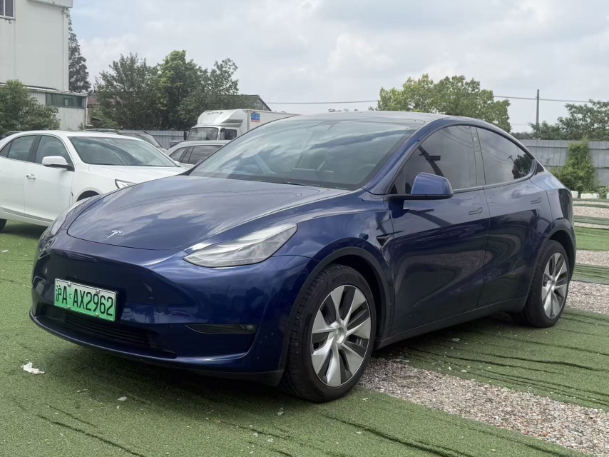 Tesla Model Y 2021 car image 