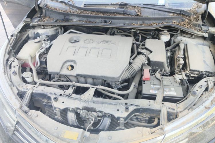 2015 #22 2015 car image #22