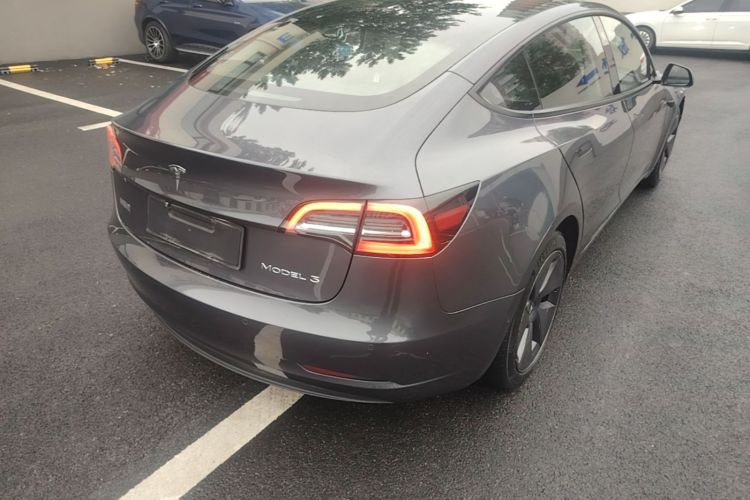 Tesla Model 3 2021 #7 Tesla Model 3 2021 car image #7