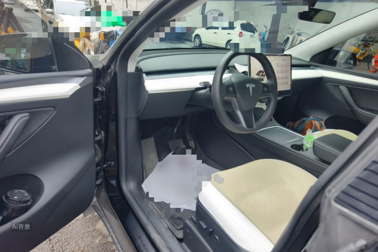 Tesla Model Y 2023 car image #18