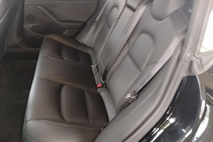 Tesla Model 3 2021 #13 Tesla Model 3 2021 car image #13