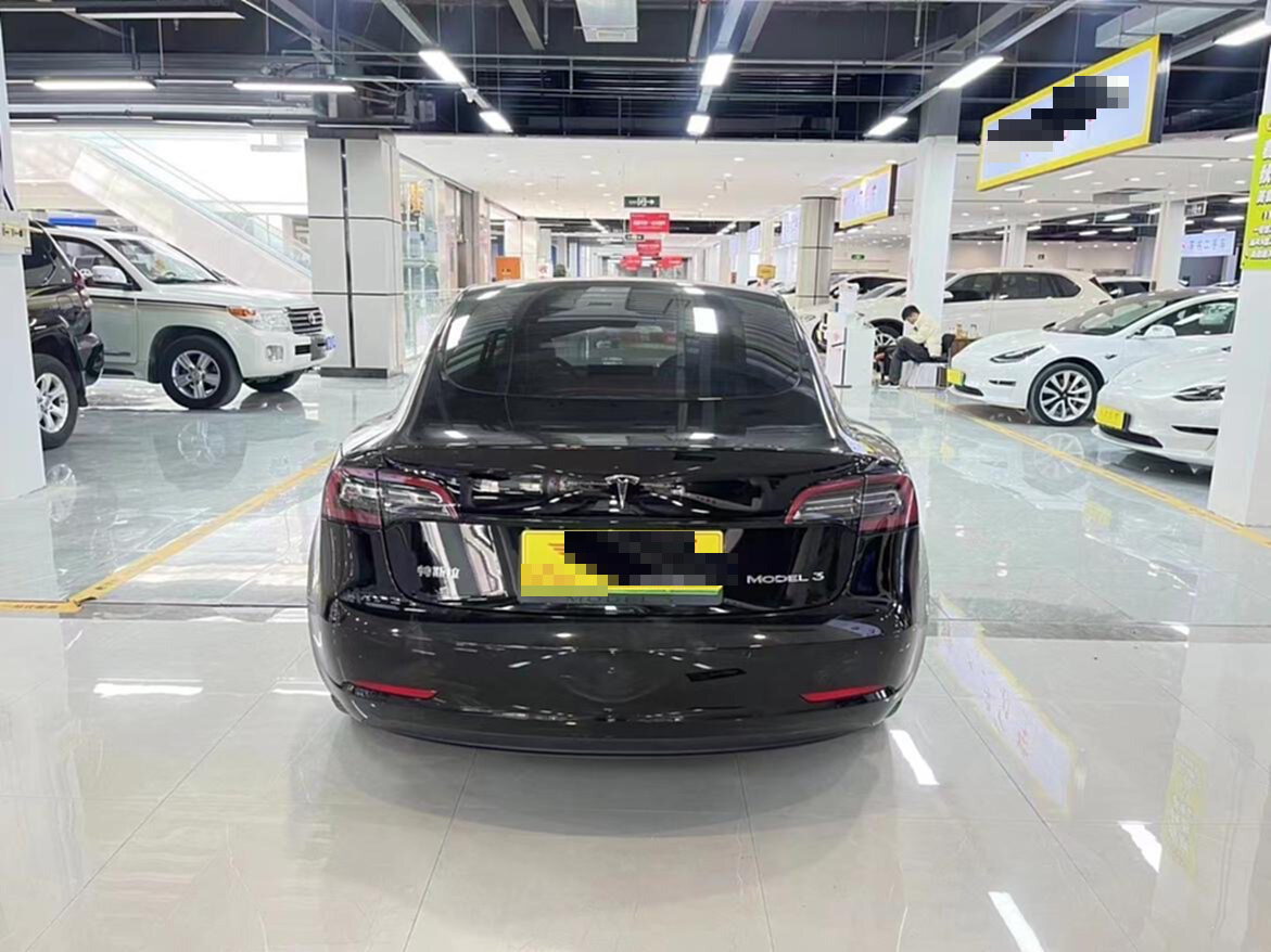 Tesla Model 3 2023 #10 Tesla Model 3 2023 car image #10