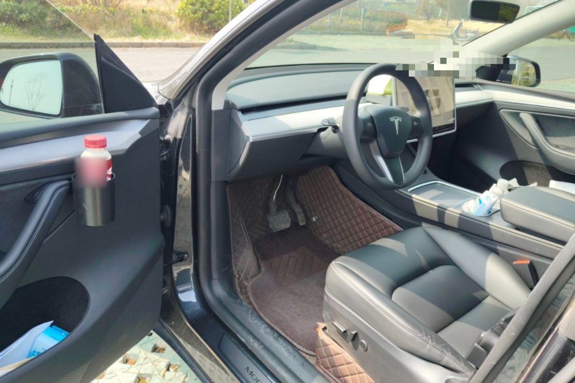 Tesla Model Y 2024 car image #25
