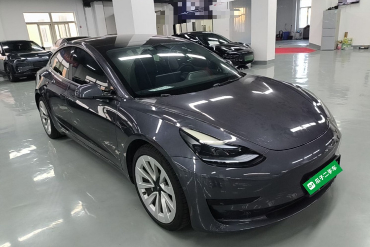 Tesla Model 3 2023 #6 Tesla Model 3 2023 car image #6