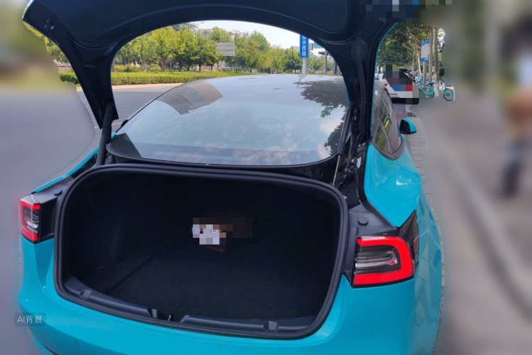 Tesla Model 3 2021 car image #21