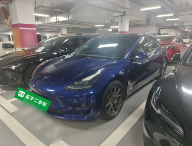 Tesla Model 3 2021 صورة سيارة 
