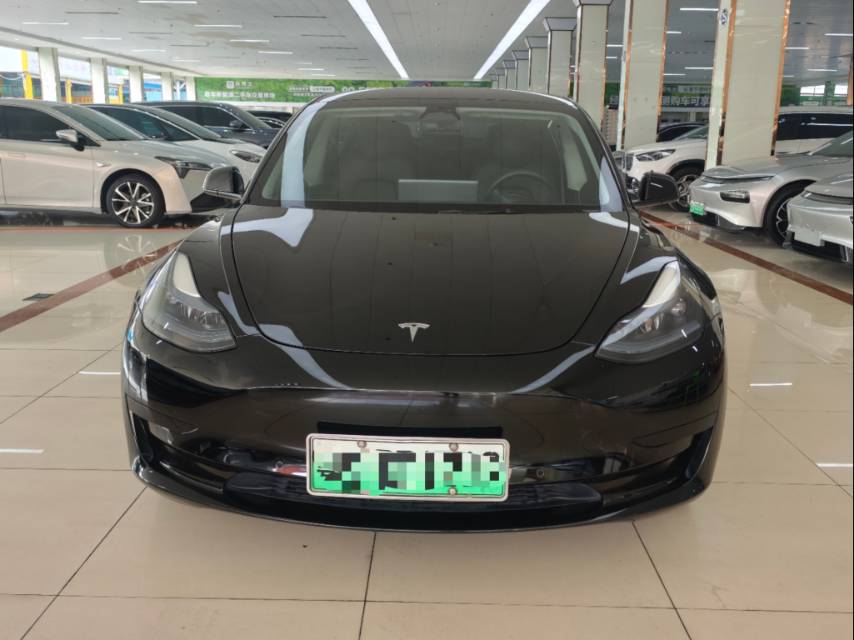 Tesla Model 3 2023 #2 Tesla Model 3 2023 car image #2