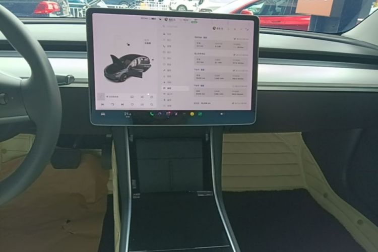 Tesla Model 3 2020 car image #13