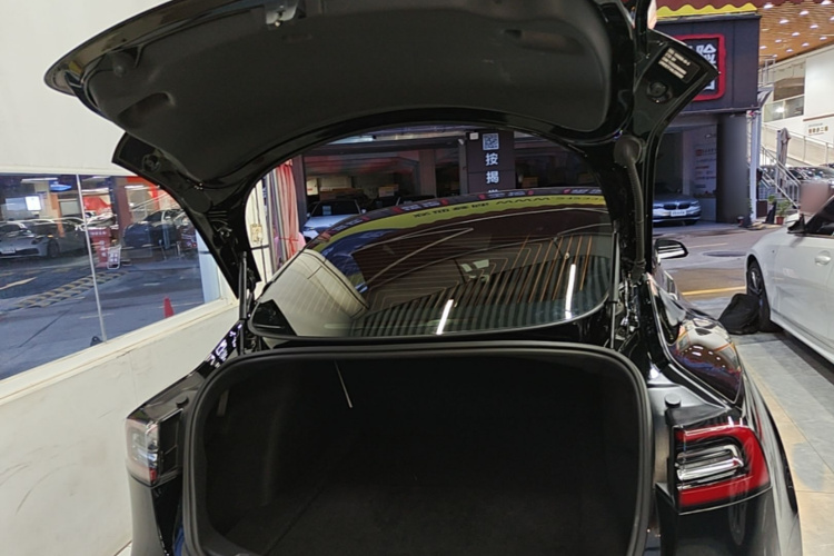 Tesla Model 3 2020 car image #19