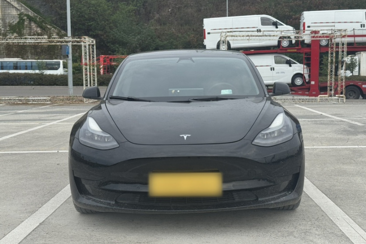 Tesla Model 3 2021 #5 Tesla Model 3 2021 car image #5