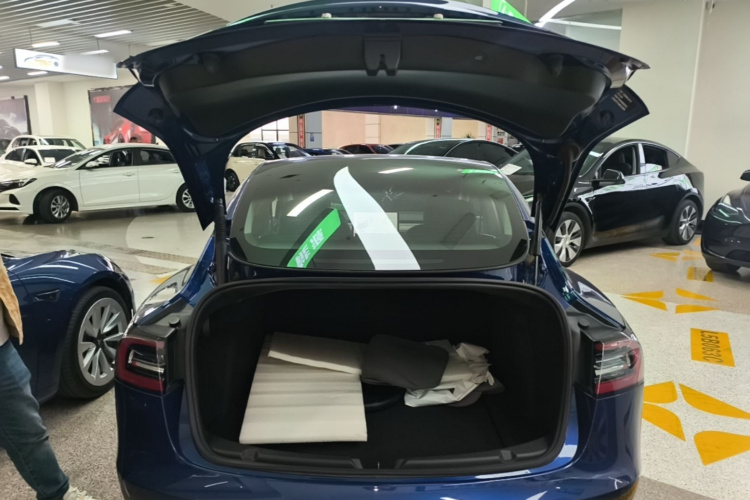Tesla Model 3 2021 #19 Tesla Model 3 2021 imagem de carro #19