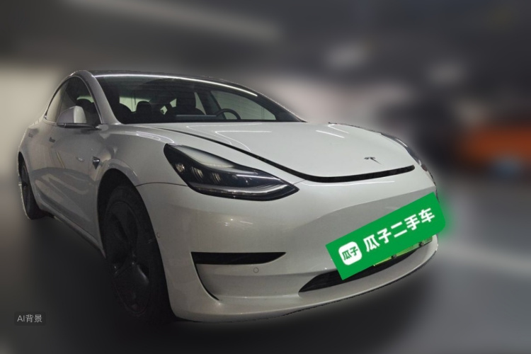 Tesla Model 3 2020 car image #4
