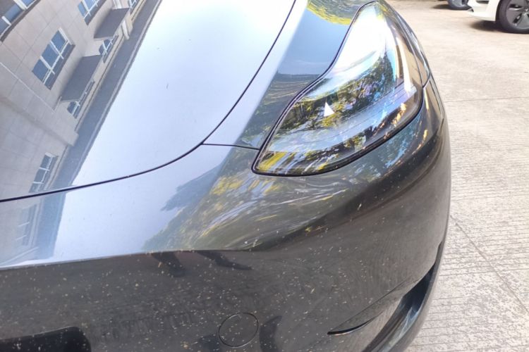 Tesla Model Y 2024 #23 Tesla Model Y 2024 car image #23