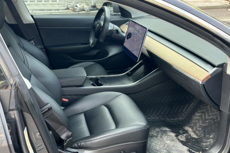 Tesla Model 3 2020 immagine di auto #14