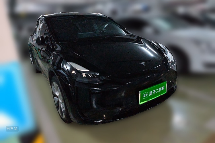 Tesla Model Y 2022 car image #4