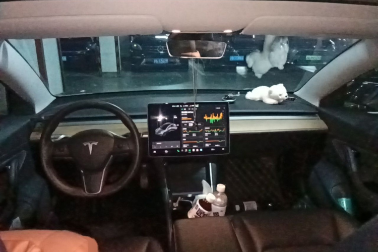 Tesla Model 3 2020 #7 Tesla Model 3 2020 car image #7