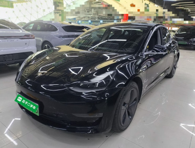 Tesla Model 3 2020 car image 