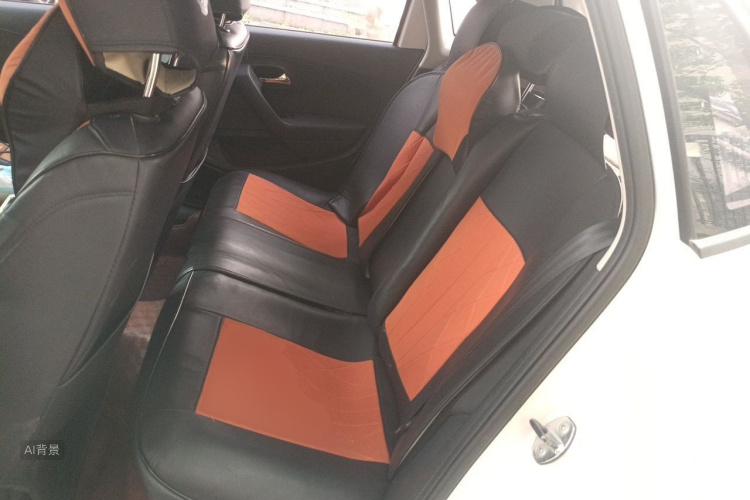 Volkswagen Polo 2016 car image #19