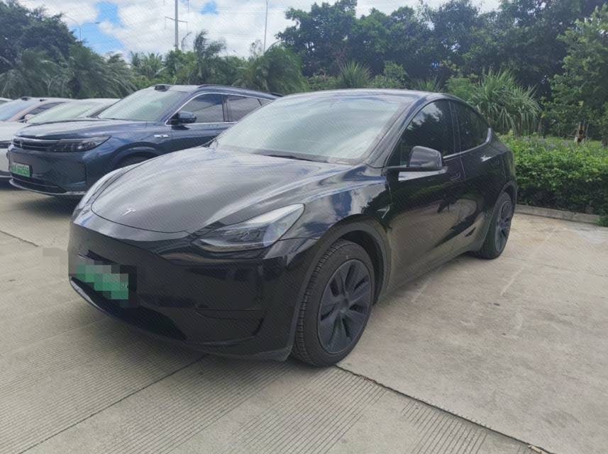 Tesla Model Y 2024 car image 