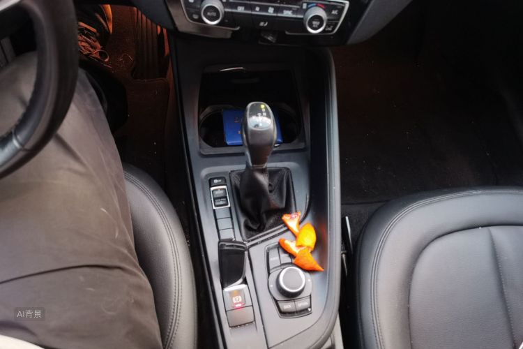 BMW X1 2017 #16 BMW X1 2017 image de voiture #16