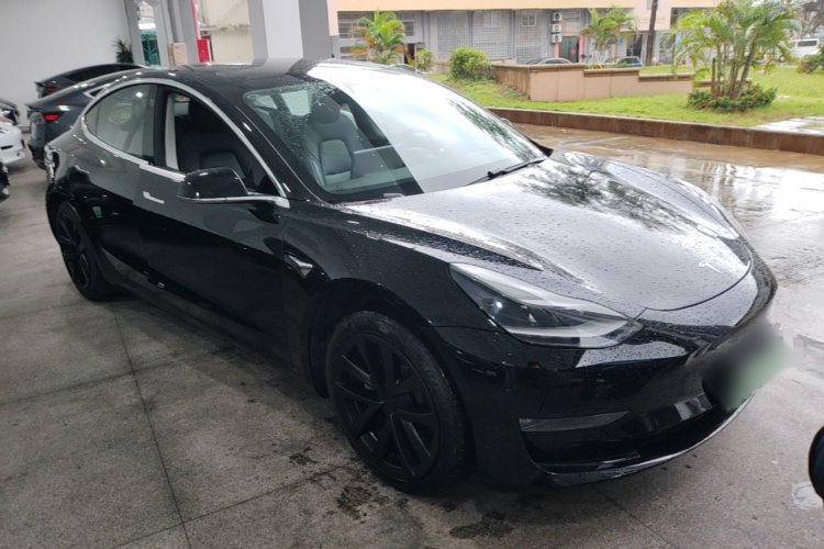 Tesla Model 3 2020 car image #6