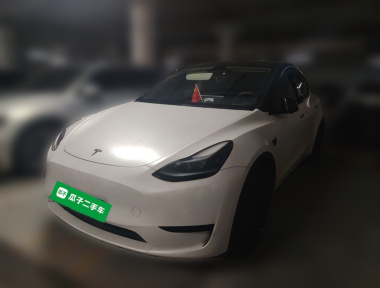 Tesla Model Y 2022 car image 
