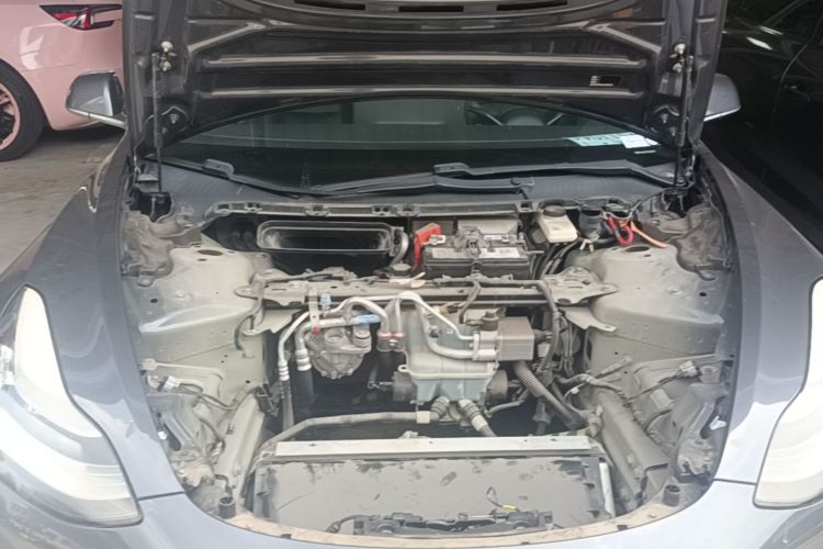 Tesla Model 3 2020 #20 Tesla Model 3 2020 car image #20