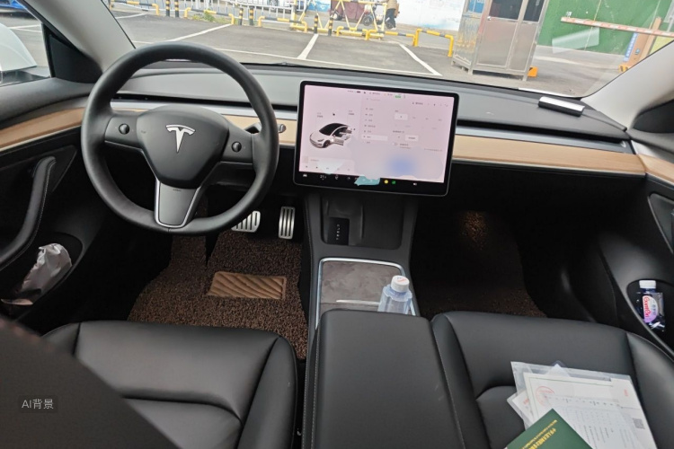 Tesla Model 3 2021 car image #11