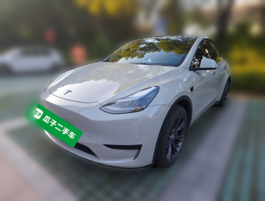 Tesla Model Y 2024 Tesla Model Y 2024 car image