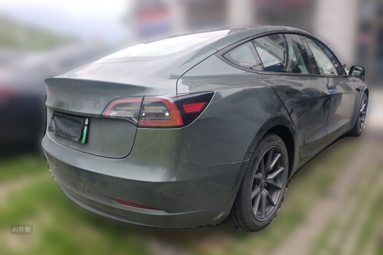 Tesla Model 3 2021 car image #7
