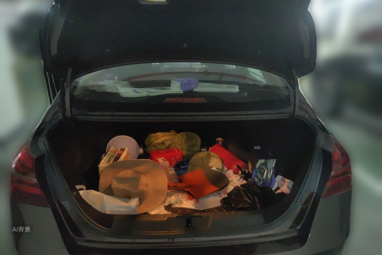 GEELY Emgrand 2018 car image #21