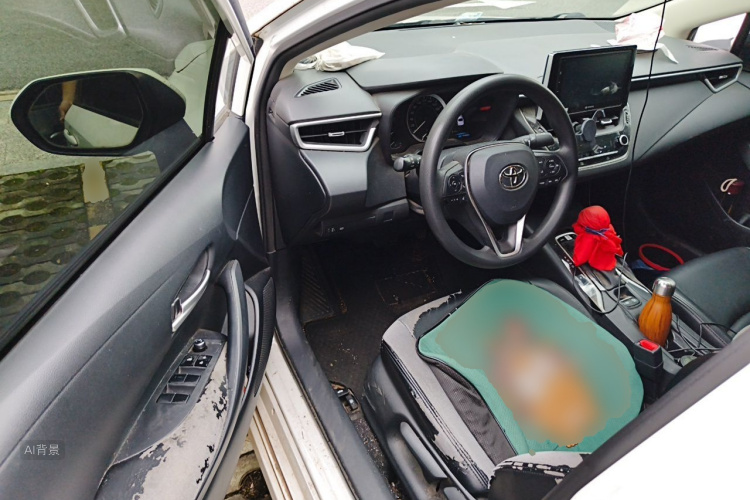 Toyota Corolla 2019 car image #18