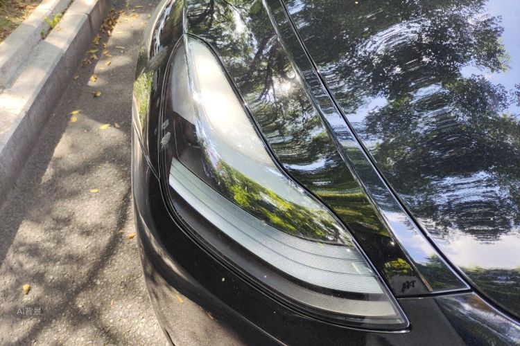 Tesla Model Y 2023 #8 Tesla Model Y 2023 car image #8
