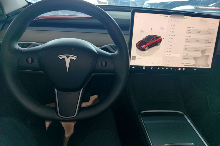 Tesla Model Y 2022 car image #10