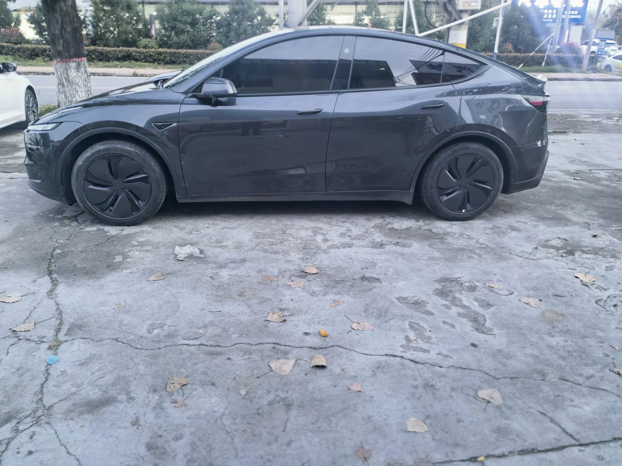Tesla Model Y 2025 car image #3