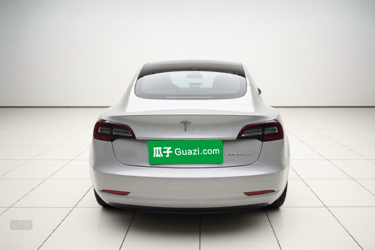 Tesla Model 3 2020 car image #6