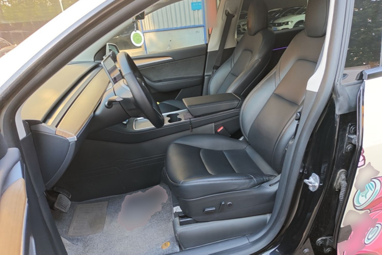 Tesla Model Y 2021 car image #15