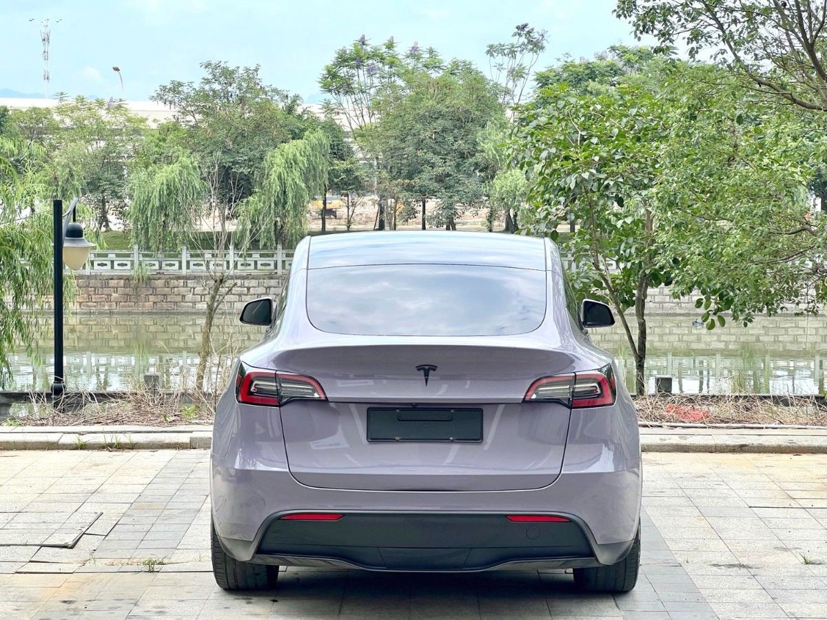 Tesla Model Y 2022 car image #3
