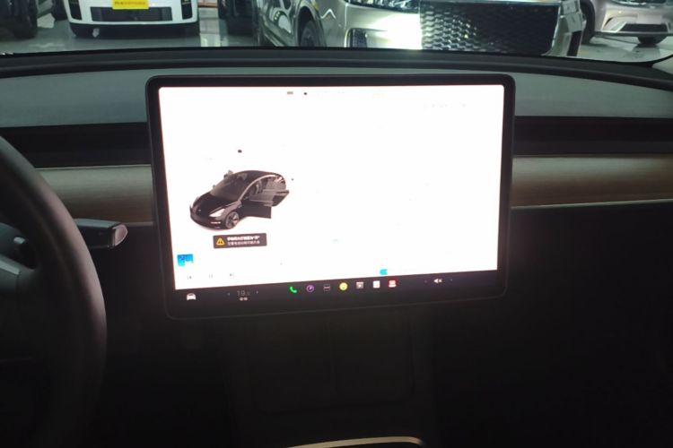 Tesla Model 3 2022 #13 Tesla Model 3 2022 car image #13