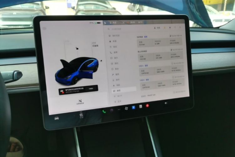 Tesla Model 3 2020 car image #13