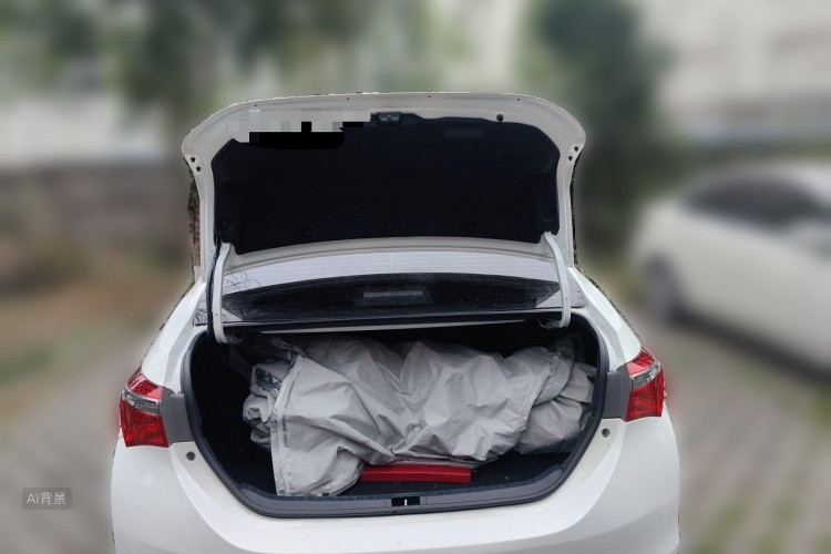 Toyota Corolla 2019 car image #21