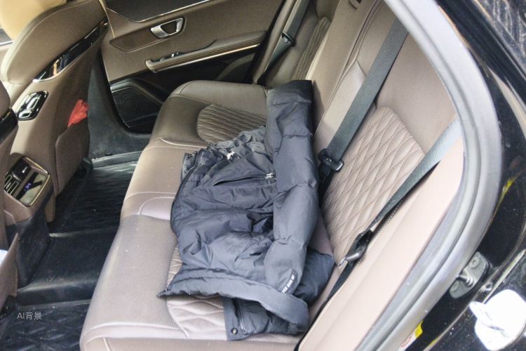 BYD Han 2021 car image #19